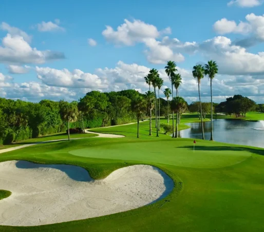 62f693f2342ab7dc24f83176_3A03E57A-A6B3-46E2-BFD8-61A6ED4BA467_1_201_a 62f693f2342ab7dc24f83176_3A03E57A-A6B3-46E2-BFD8-61A6ED4BA467_1_201_a