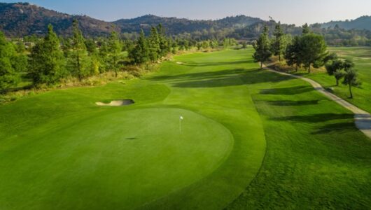 8f95dc928ce1e7061d6fb075bb65956c59b85341