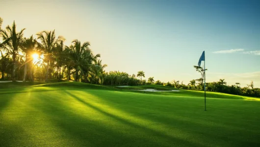 il_fullxfull.6183449477_imqu